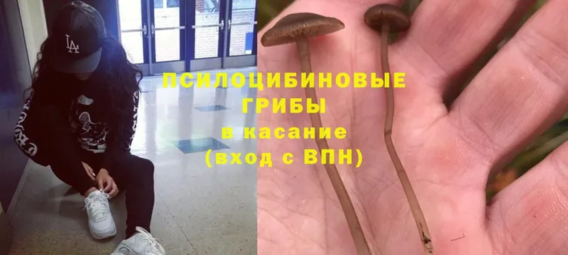 hydra сайт  Верхний Уфалей  Псилоцибиновые грибы MAGIC MUSHROOMS  закладки 